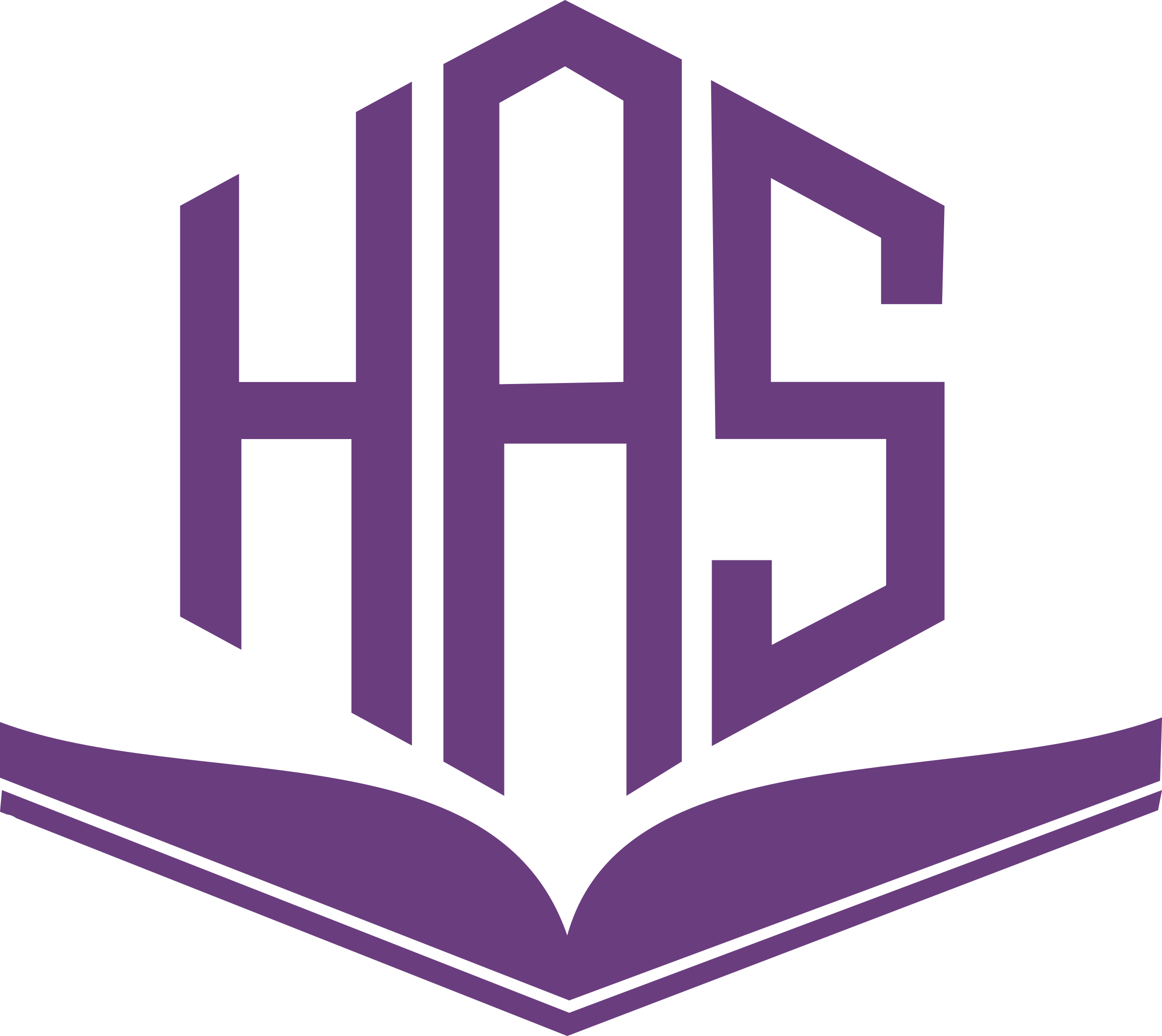 Hafiz Ahmed School logo